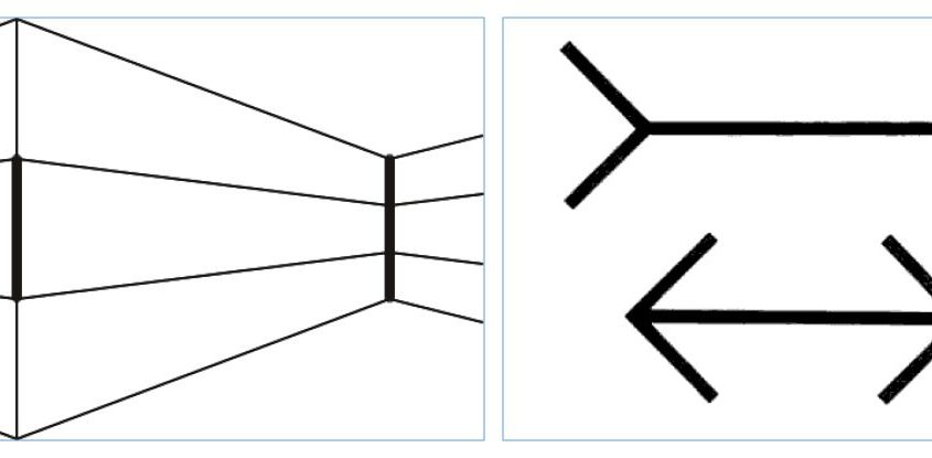 muller-lyer-grafik